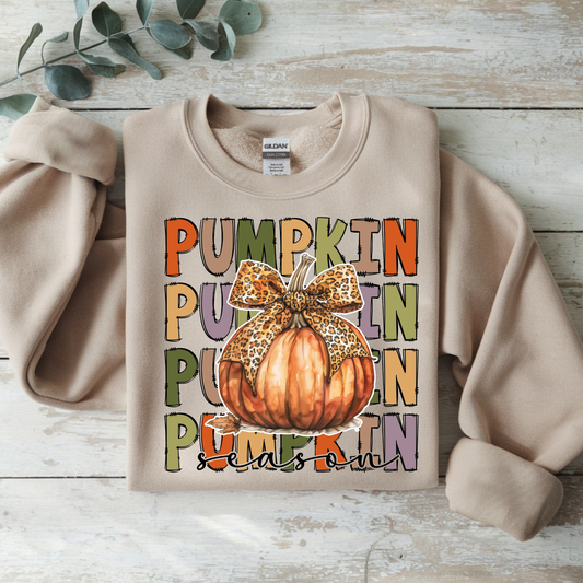 Pumpkin Season Sweatshirt | Cozy Fall Crewneck